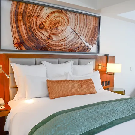 Intercontinental Real Guatemala By Ihg-2