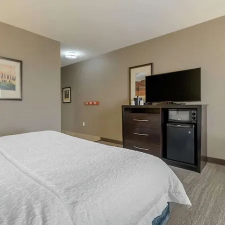 Hampton Inn Alamosa-2