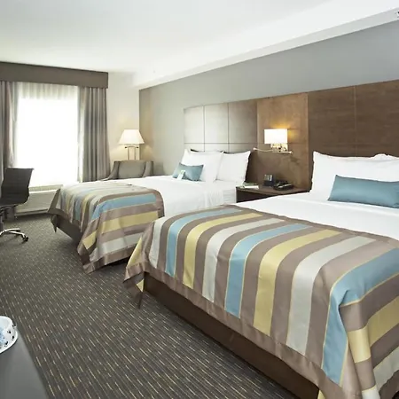 Wingate By Wyndham Calgary Airport-2