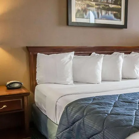 Quality Inn Schaumburg - Chicago Near The Mall-3