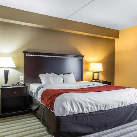 Comfort Suites Smyrna - Nashville Area-3
