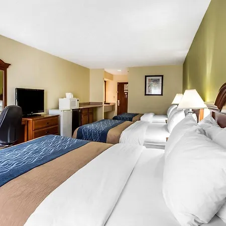 Quality Inn Darien-North Brunswick-3