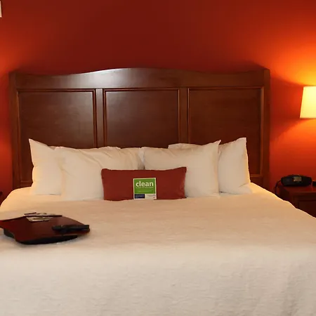 Hampton Inn & Suites Bastrop-3