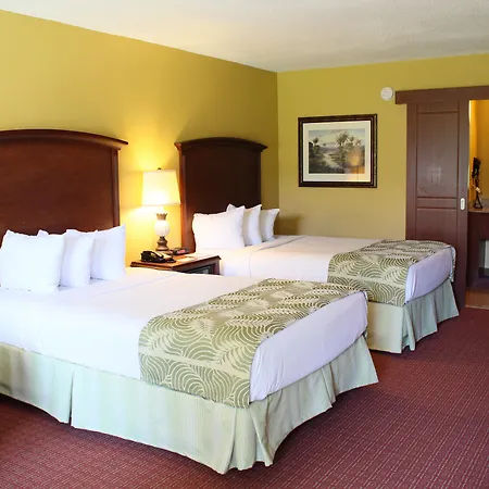 Rosen Inn International Near The Parks-3