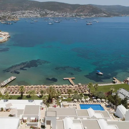 Agaya Bodrum - Adult Only-3