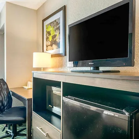 Quality Inn & Suites Leesburg Chain Of Lakes-2
