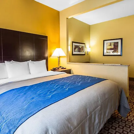 Quality Inn Plant City - Lakeland-2