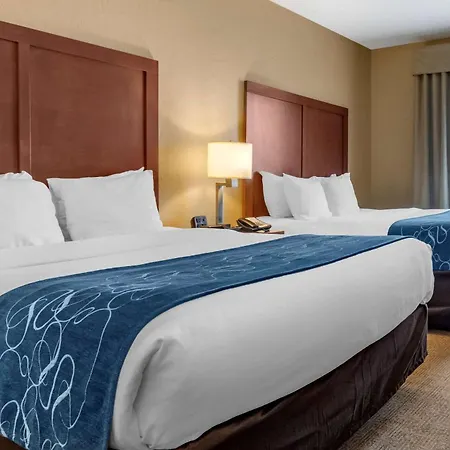 Comfort Suites Airport-University-3