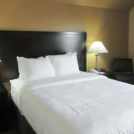 Quality Inn & Suites-3