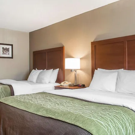 Comfort Inn Edinburg South-2