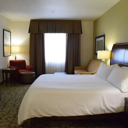 Hilton Garden Inn Rochester Downtown, Ny-2