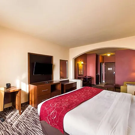 Comfort Suites Mcallen Airport And La Plaza Mall-2