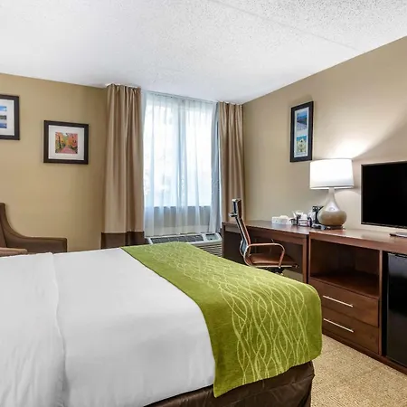 Comfort Inn Edison - New Brunswick-2