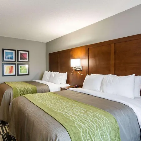 Quality Inn & Suites Ashland Near Kings Dominion-3