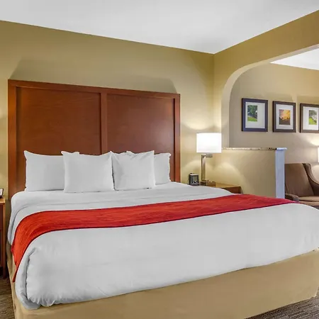 Comfort Inn & Suites Lagrange East-3