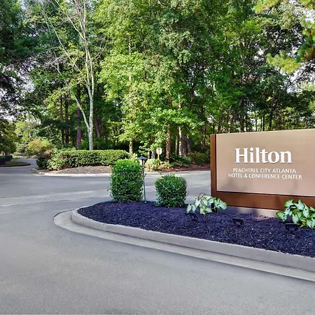 Hilton Peachtree City Atlanta Hotel & Conference Center-3