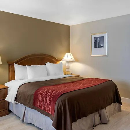 Abode-3