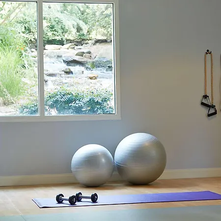 Hyatt Regency Atlanta Perimeter At Villa Christina-2