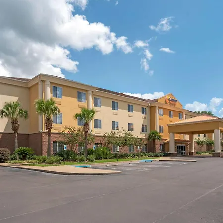 Comfort Suites Alexandria North-2