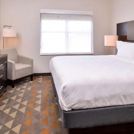 Holiday Inn And Suites Addison By Ihg-2