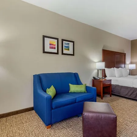 Comfort Inn Lenoir City-Knoxville-3