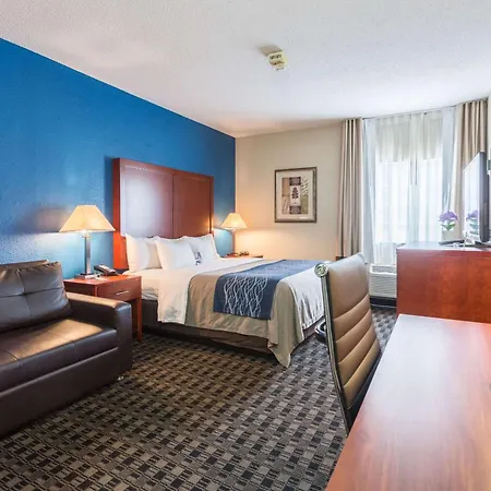 Comfort Inn Decatur Priceville-2