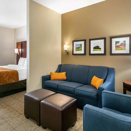 Comfort Suites Hopkinsville Near Fort Campbell-3