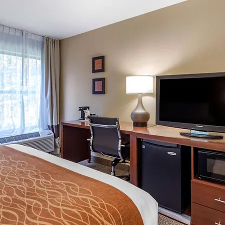 Comfort Inn Biltmore West-3