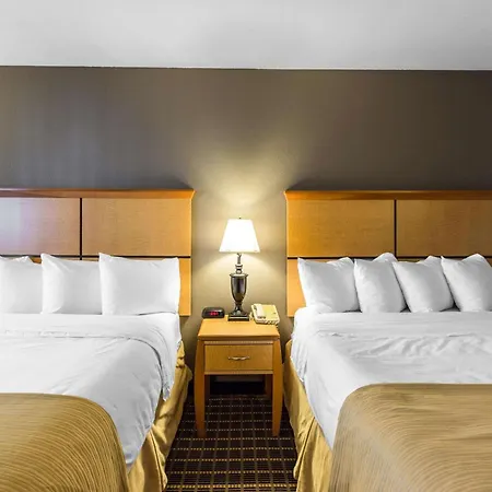 Quality Inn And Suites Silverthorne - Copper Mountain-3