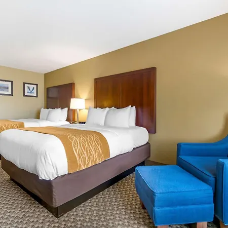 Comfort Inn Auburn - Seattle-3