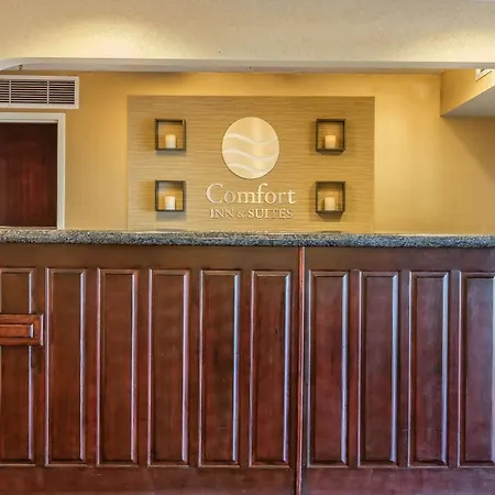 Comfort Inn & Suites Jasper Hwy 78 West-3