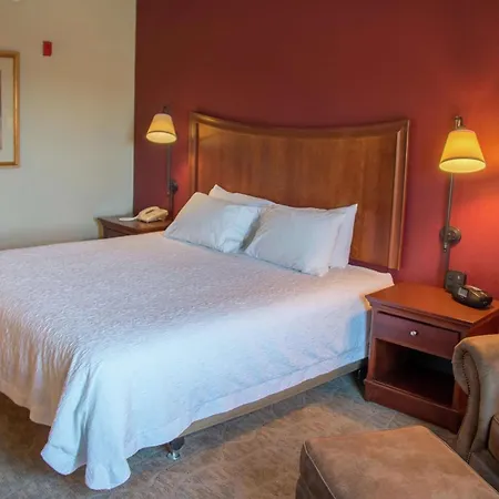 Hampton Inn Murphy-3
