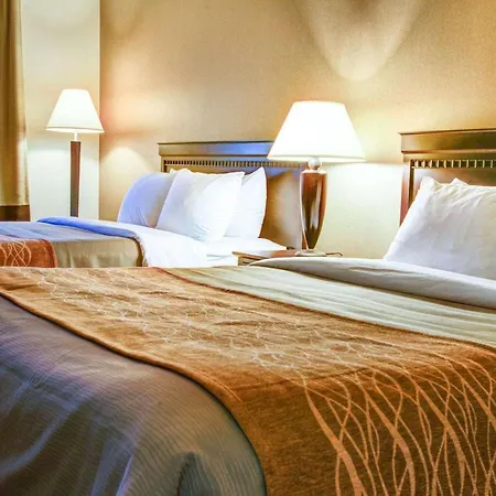 Quality Inn Florence-2