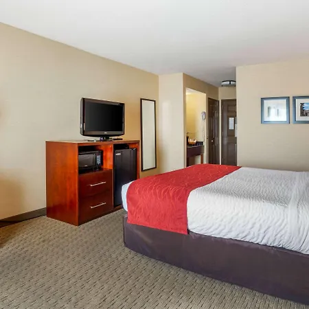 Comfort Inn Redwood City-2