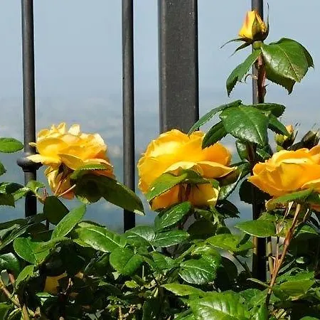 Villa dei Fantasmi-3
