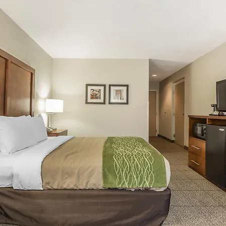 Quality Inn Summerville-Charleston-3