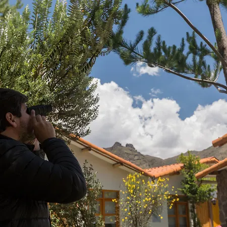 Casa Andina Standard Colca-3
