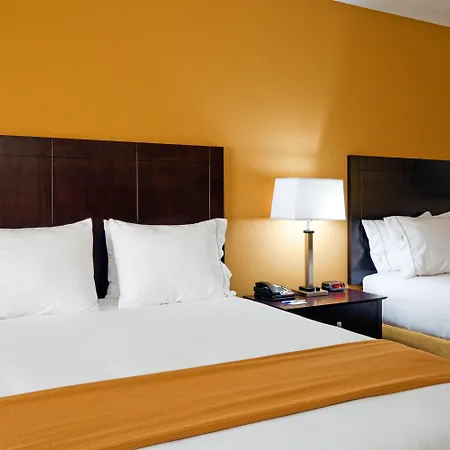 Holiday Inn Express Hotel & Suites Greenville By Ihg-3
