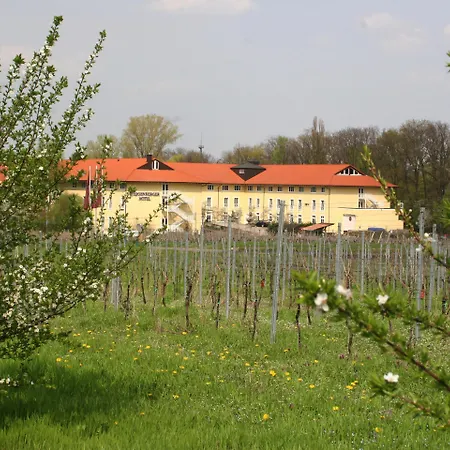 MAXX by Steigenberger Deidesheim-2