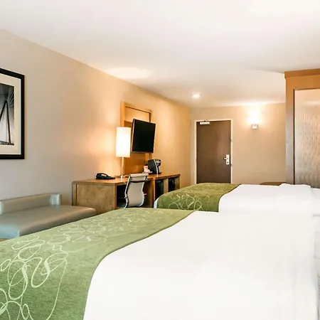 Comfort Suites North Charleston - Ashley Phosphate-3