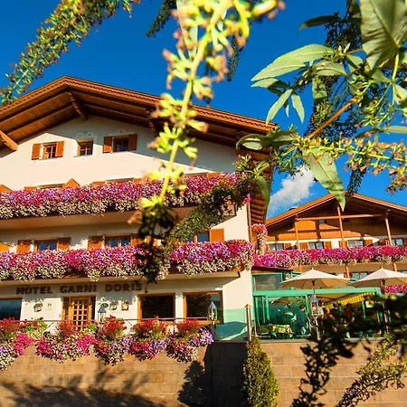 Hotel Garni Doris-2