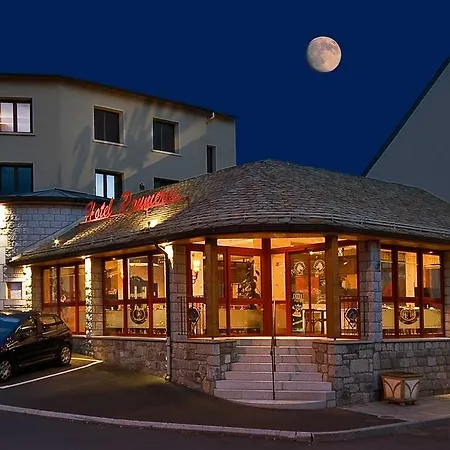 Hôtel Restaurant Prunières-3
