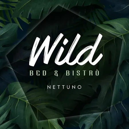 Wild Bed&Bistrò-3