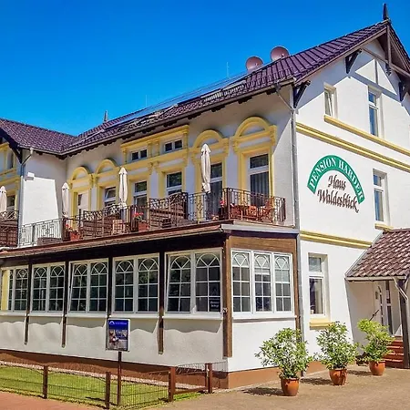 Pension Haus Waldesblick-3