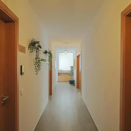Casa Dos 4 Caminhos - Guest House Douro-2