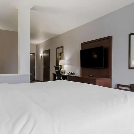 Comfort Suites Paducah Mall Area-2