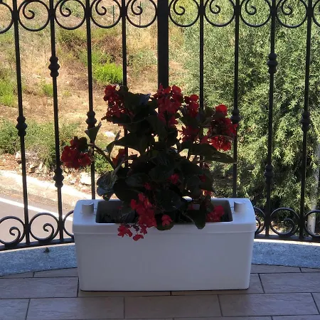 B&B Rosa dei Venti-3