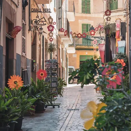 Ca'S Cuscanti-2