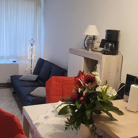 Ryan Apartament Mit Netflix-3