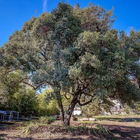B&B en Provence- Villa Saint Marc-3